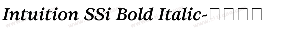 Intuition SSi Bold Italic字体转换